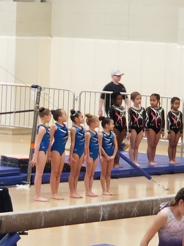  All Star Gymnastics