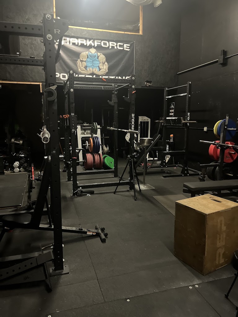  Sharkforce Power House