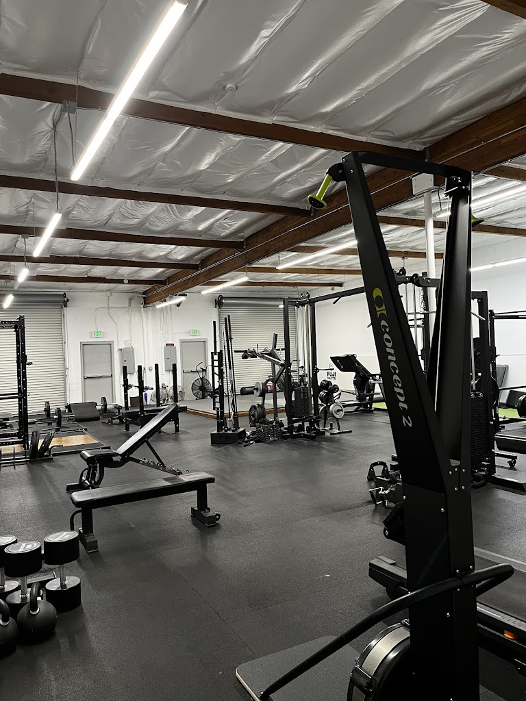  Electrum Performance