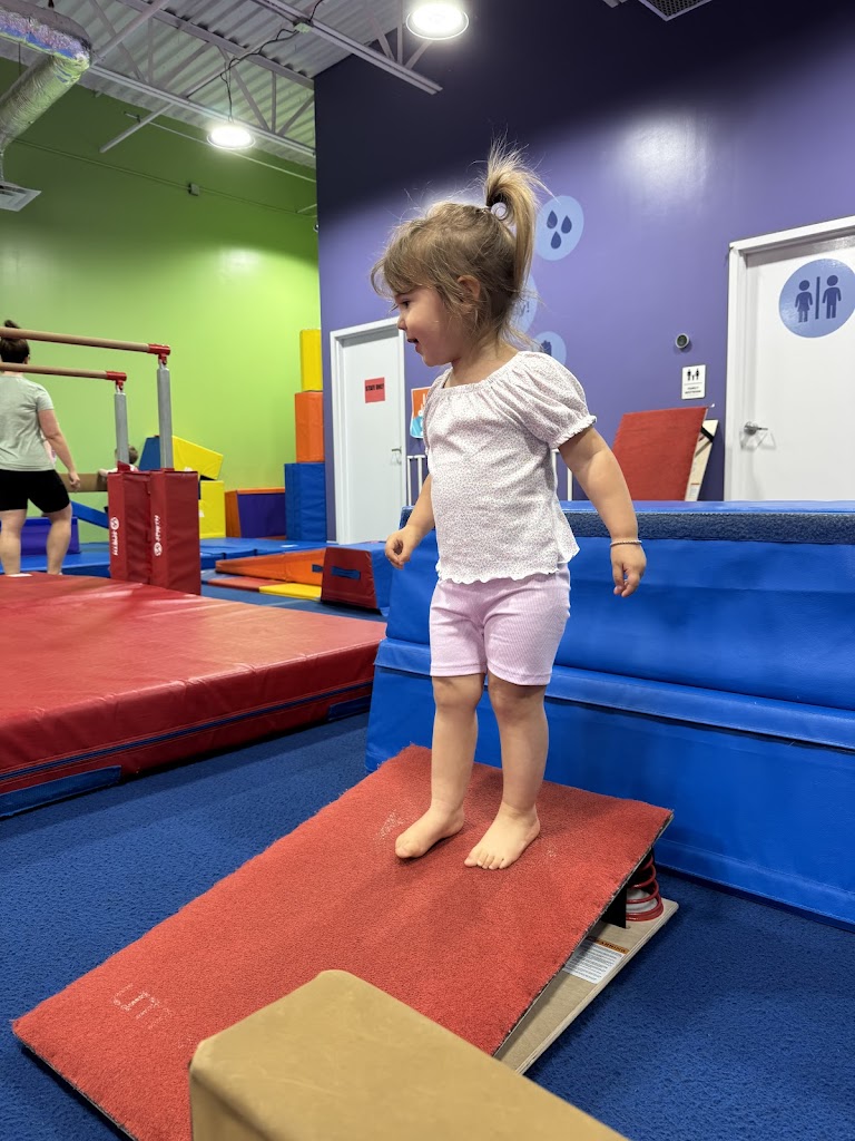  The Little Gym of Fruit Cove