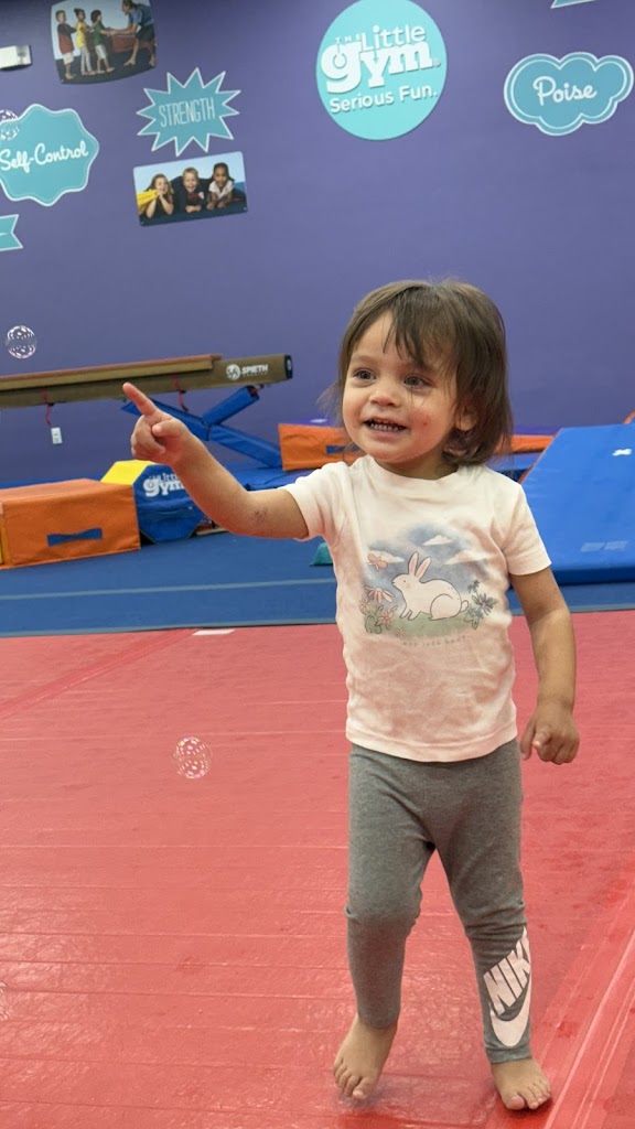  The Little Gym of Fort Myers