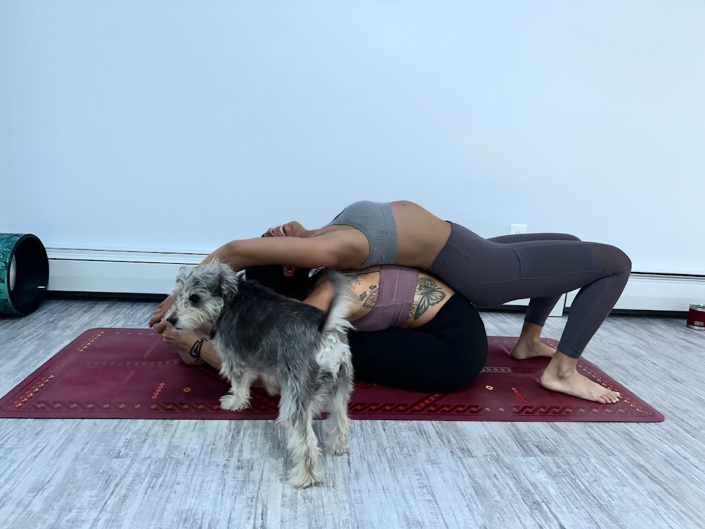  Fox Dog Yoga
