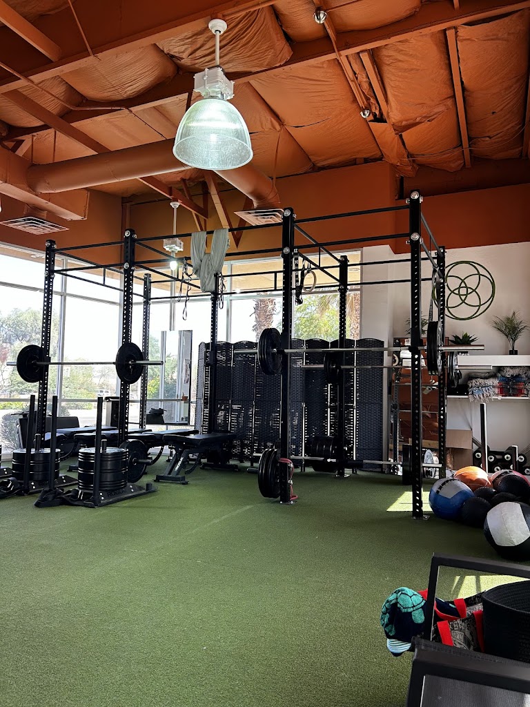  Wholeistic Fitness - Gym