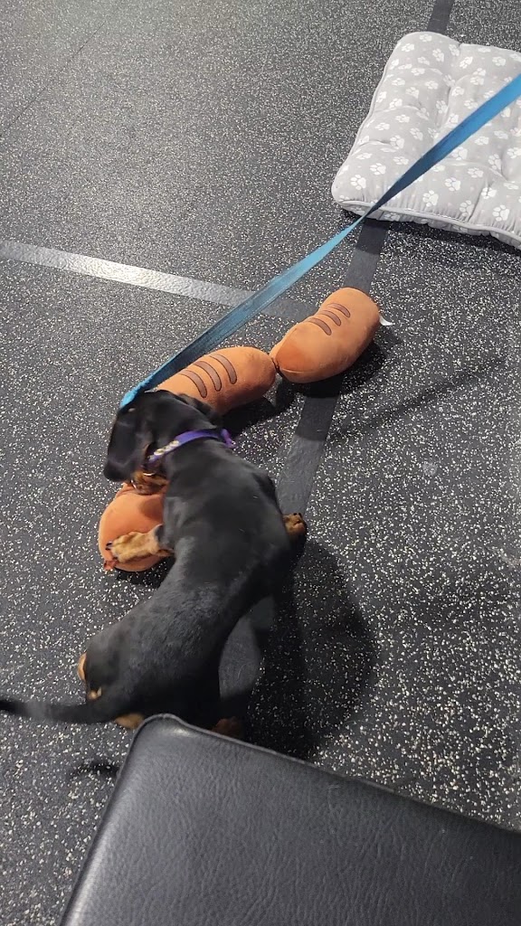  Full Circle CrossFit