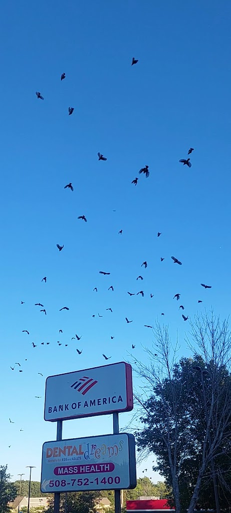  Crunch Fitness - Worcester