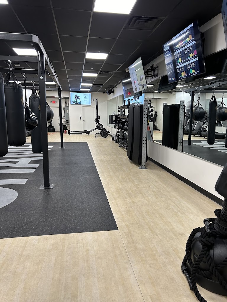  Mayweather Boxing + Fitness