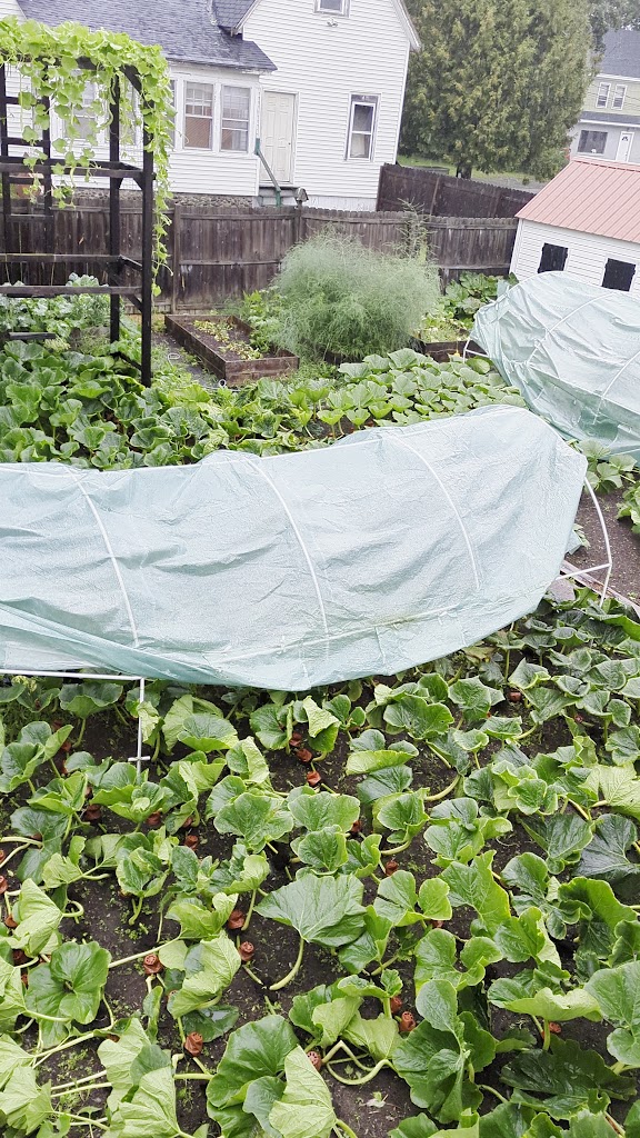  Eastern Maine School of Self-Defense