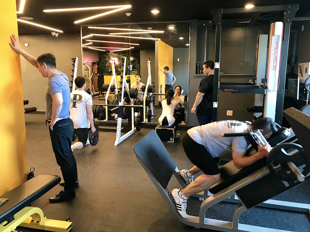  Power Muscle Gym (파워머슬)