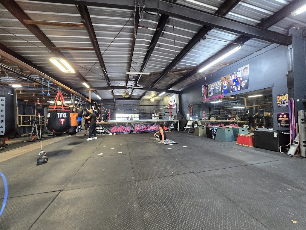  Gator Boxing