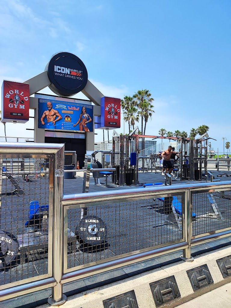  Muscle Beach Venice Gym
