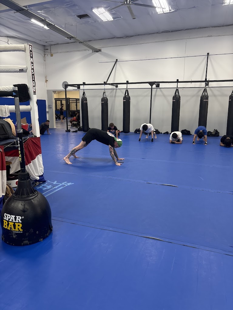  Daruma Combat Sports