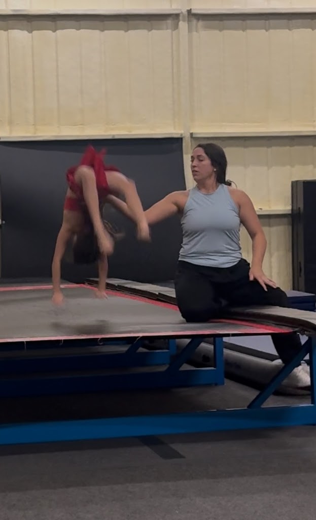  Wild Cheer & Tumbling