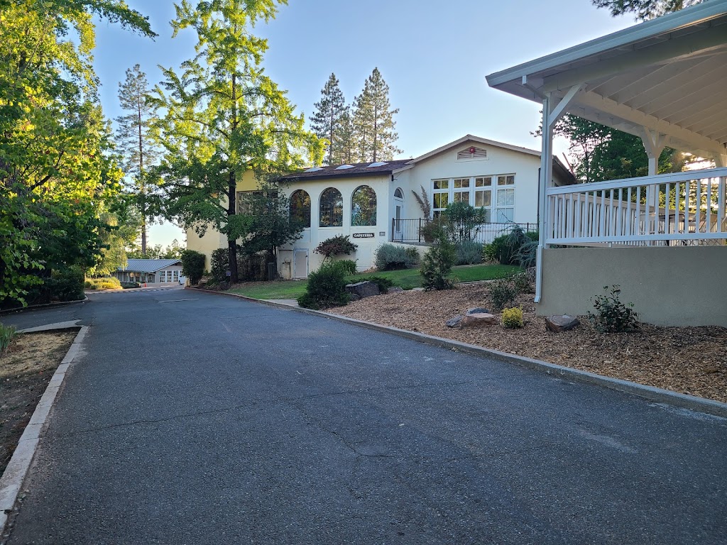  NEWSTART Lifestyle Program