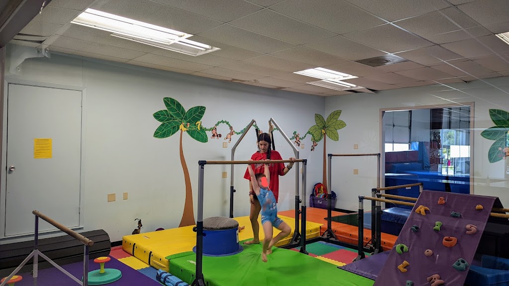  Impact Gymnastics and Sports Academy