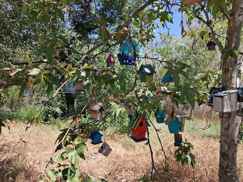  Executive Health and Fitness