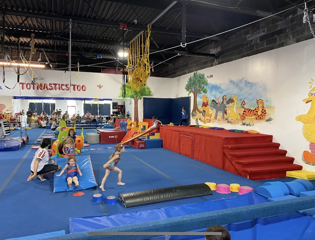  All American Gymnastics