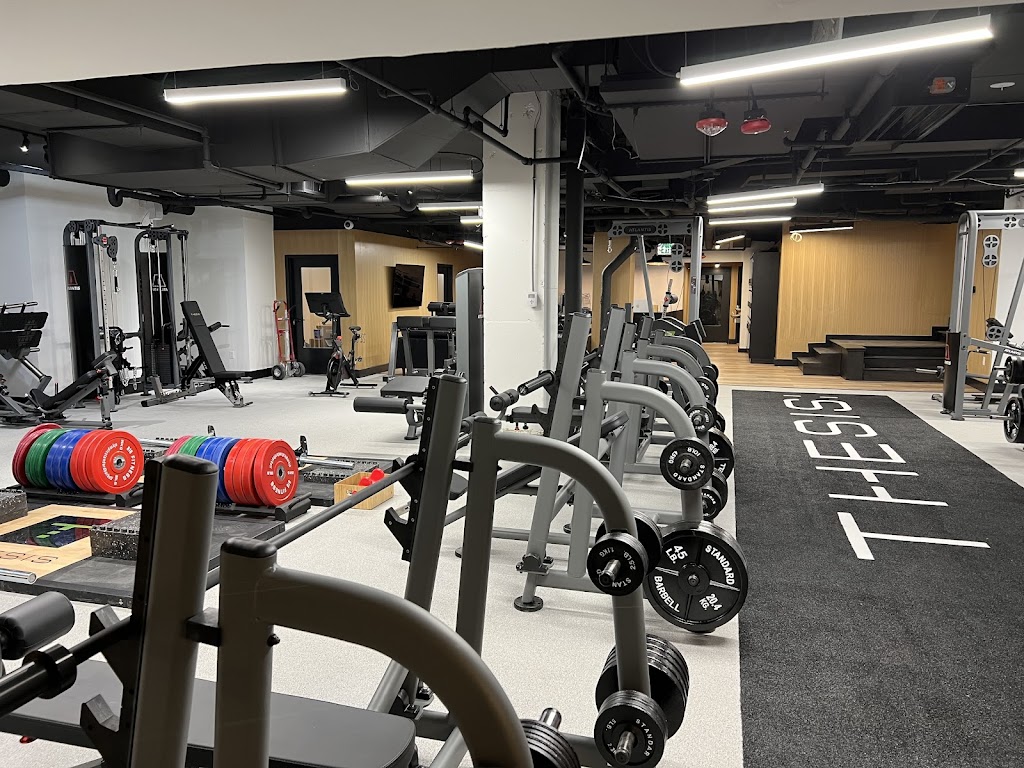  Thesis Personal Training DC