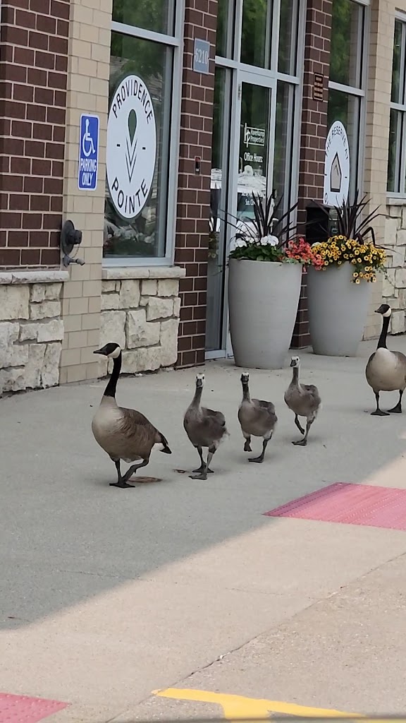  Full Strength Fitness Johnston