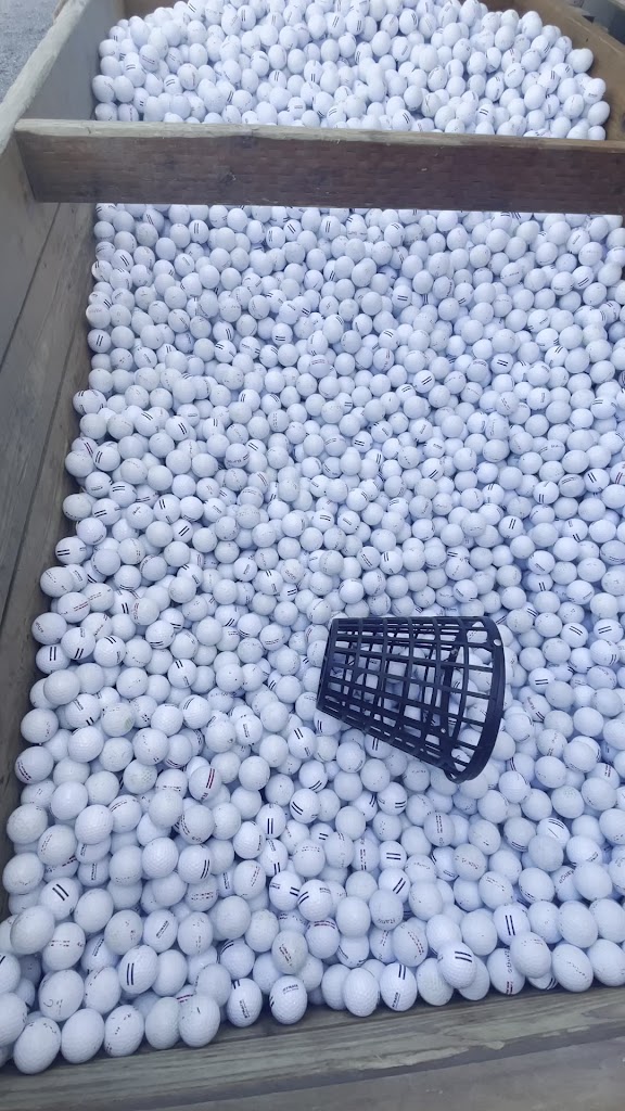  Woodinville Sports Club