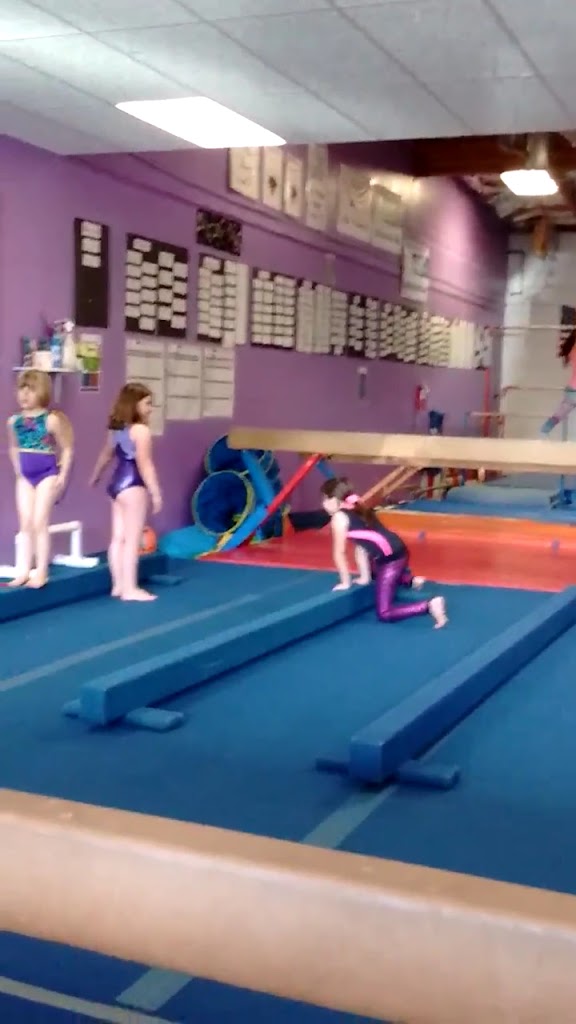  HealthSPORT Gymnastics