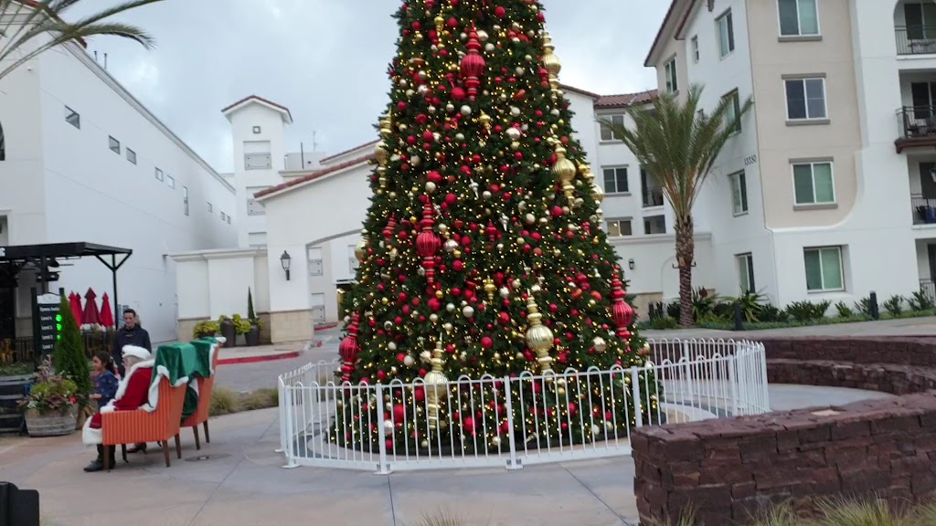  Crunch Fitness - Carmel Valley