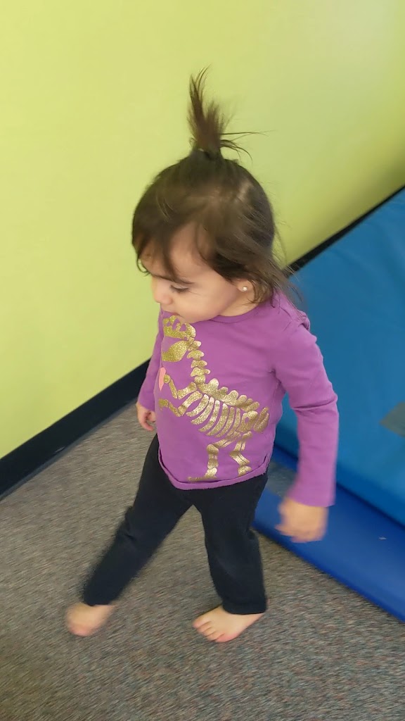  The Little Gym of Hasbrouck Heights