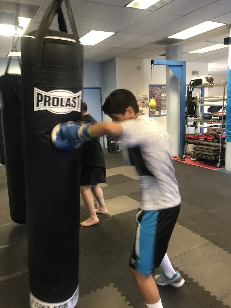  US Muaythai & Amirboxing