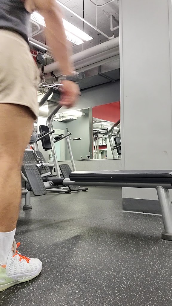  Blink Fitness (PureGym)