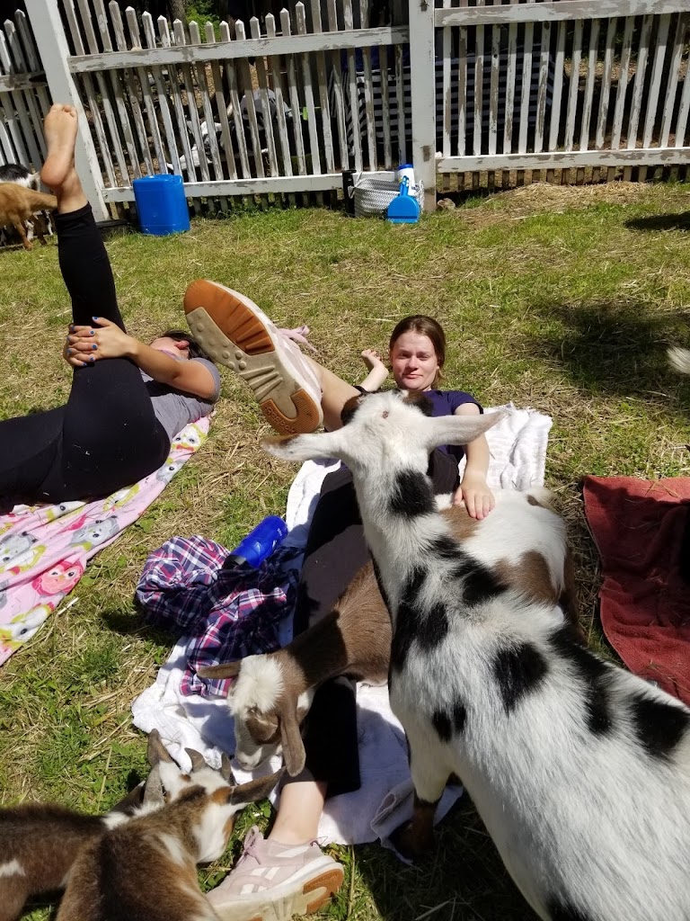  Duluth Goat Yoga