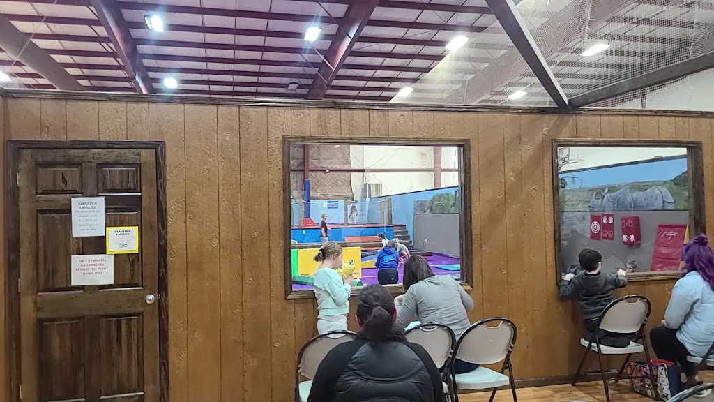  World Class Gymnastics