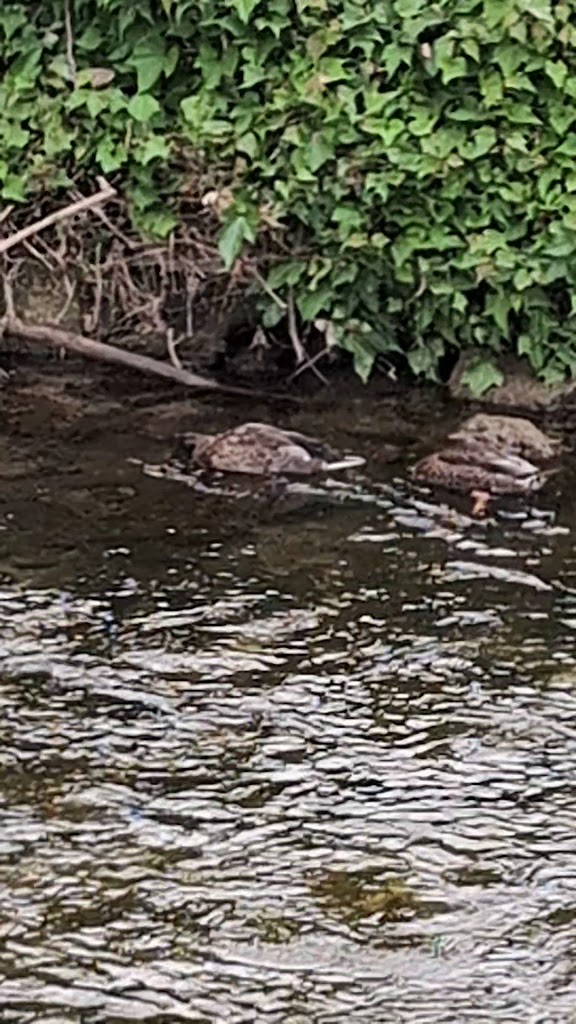  West Reading Pickleball