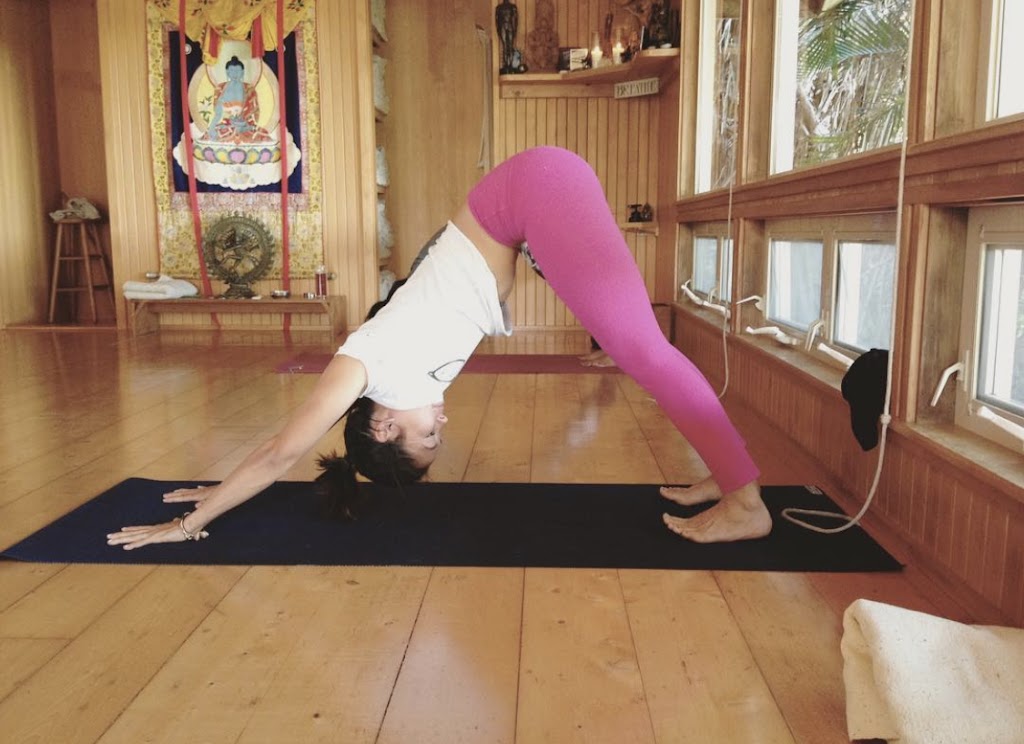  Nicki Doane's Maya Yoga Studio