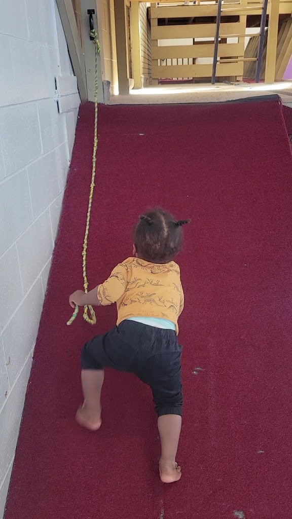  Troy Gym 1 & 2 (Rec/PS Gymnastics/Ninja)