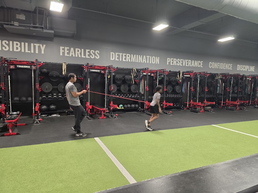  D1 Training Torrance