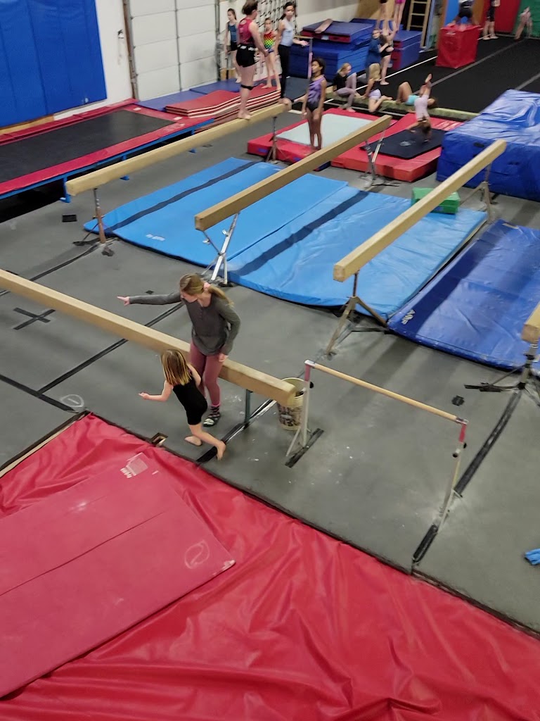  Gymnastics In Motion