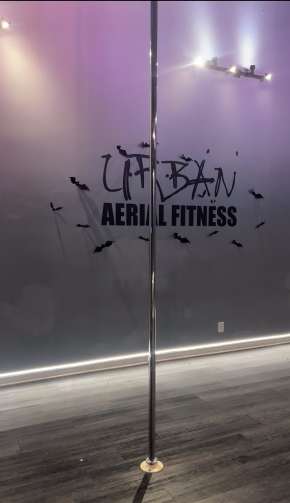  Urban Aerial Fitness