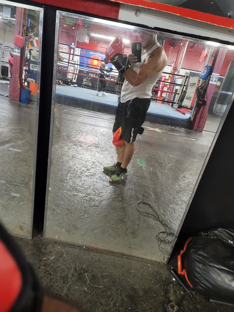  Brunswick Boxing Stars