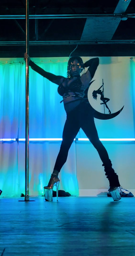  Studio Nightshade Pole Dance