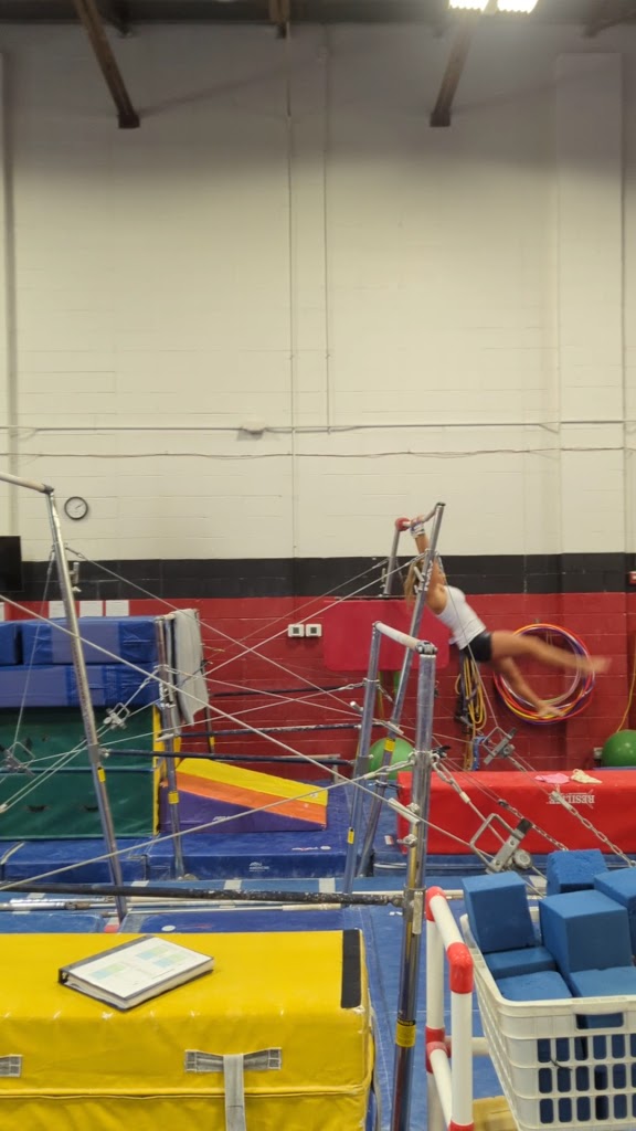  Palmer's Gymnastics