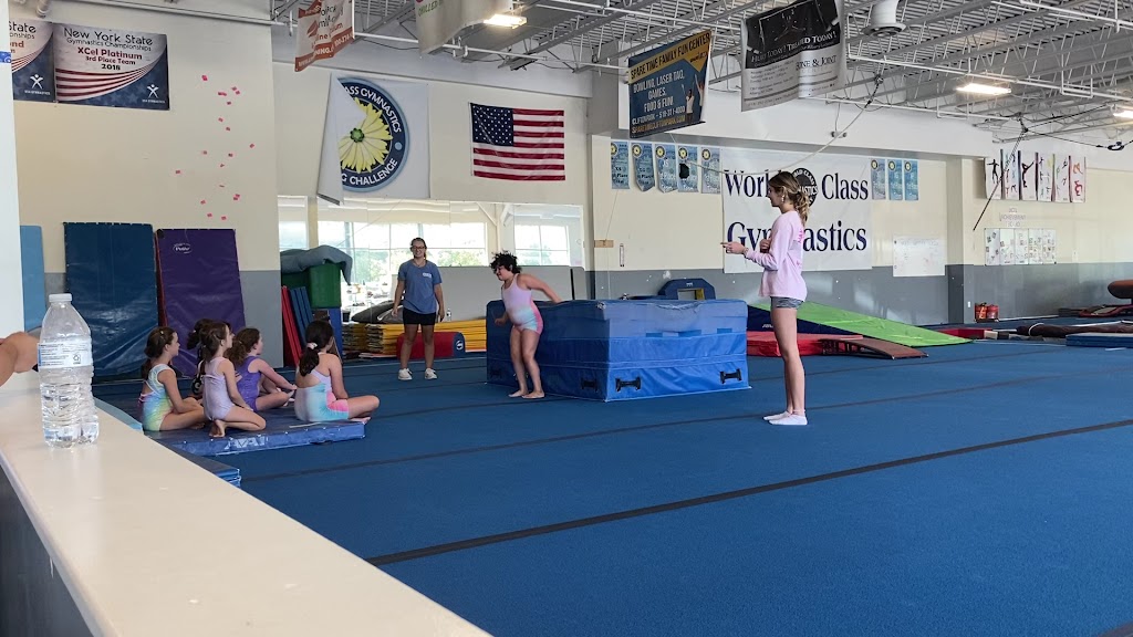  World Class Gymnastics Academy