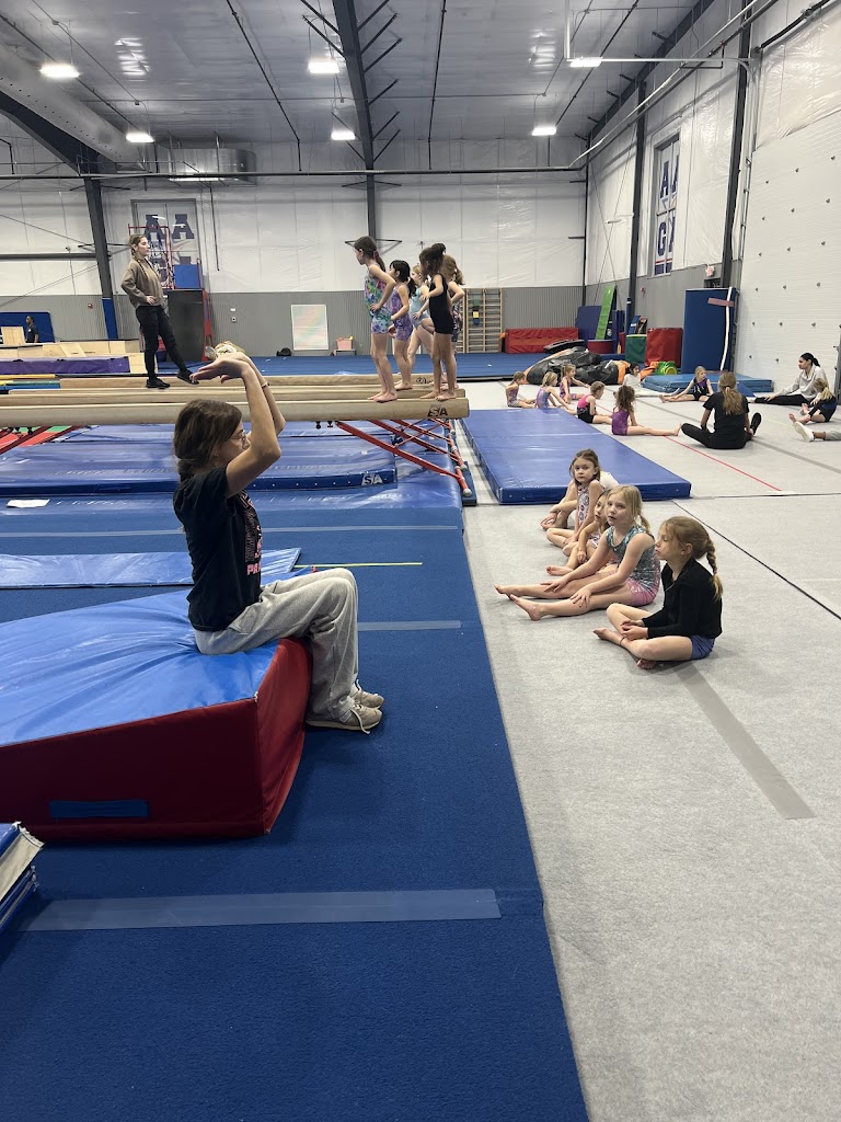  All American Gymnastics Academy
