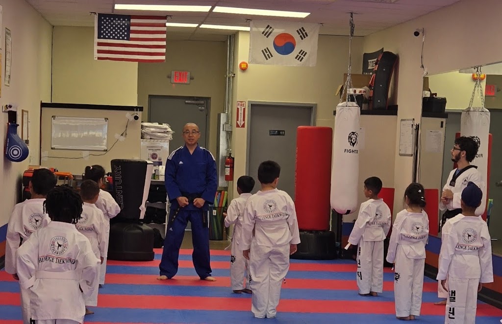  Challenge TaeKwonDo Center ( Martial Arts Academy )