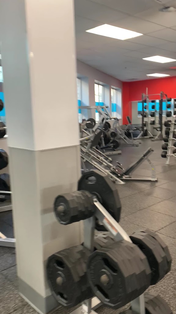  Blink Fitness (PureGym)