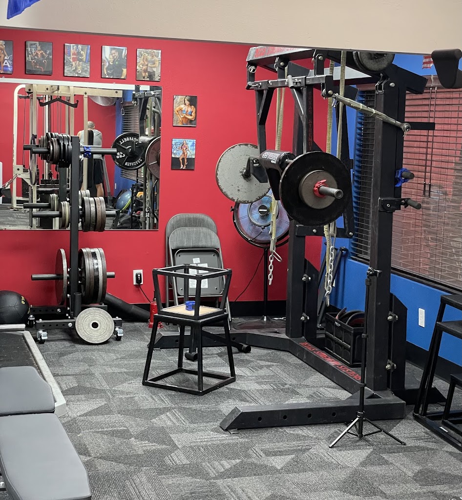  Bodies Beyond Belief