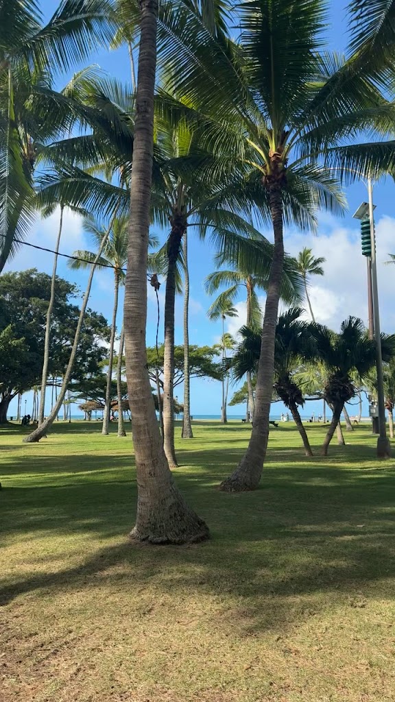  Yoga Under The Palms Waikiki