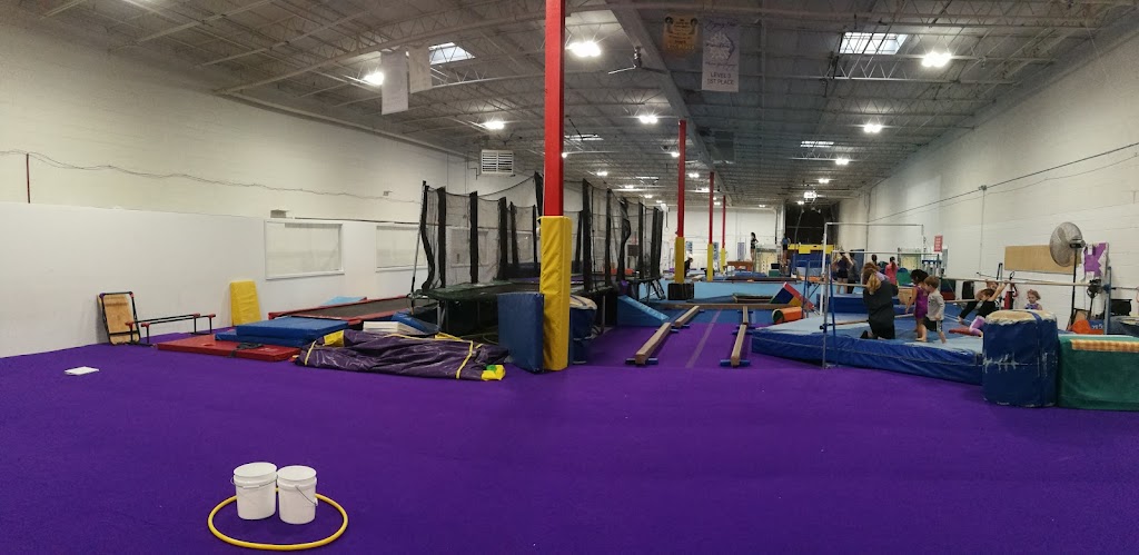 American Academy of Gymnastics, Northbrook