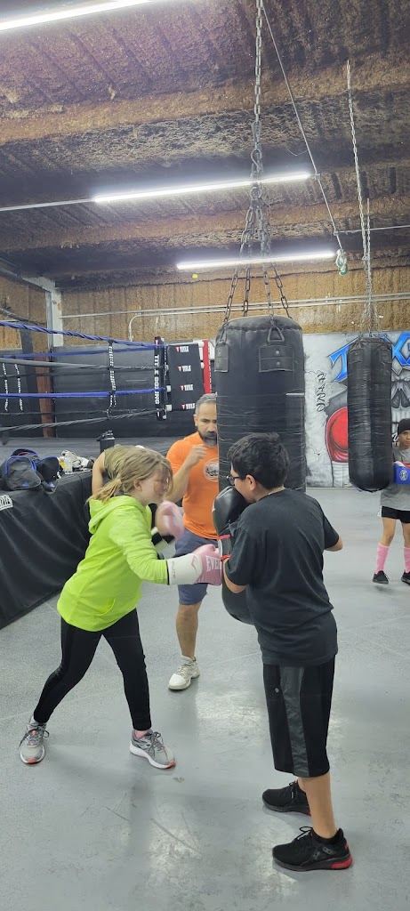  Texas Hard Hitters Boxing Club Powered By Movida