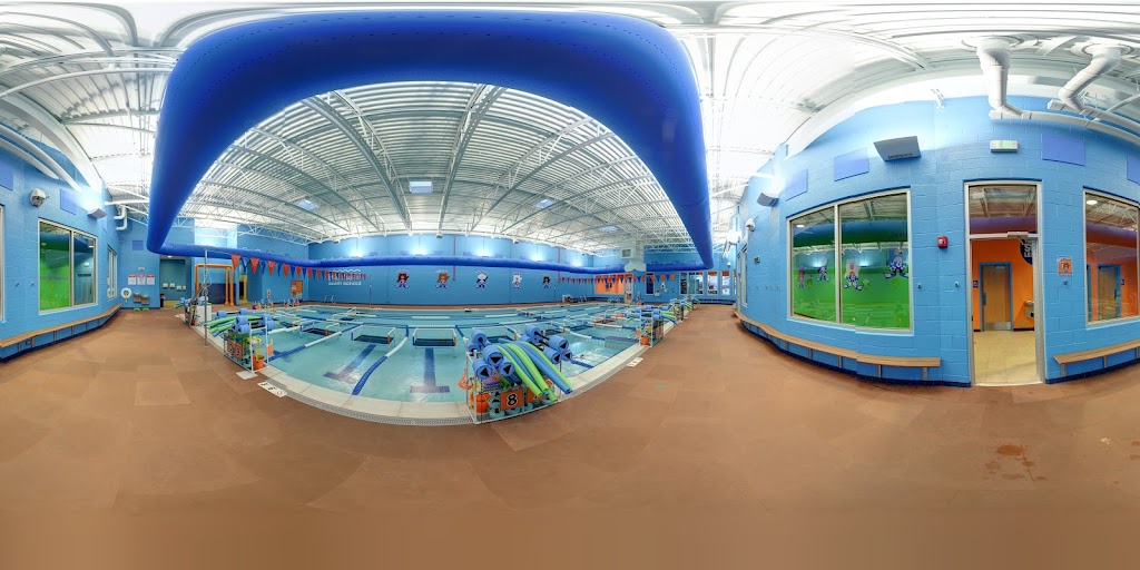  Bear Paddle Swim School - Lake In The Hills