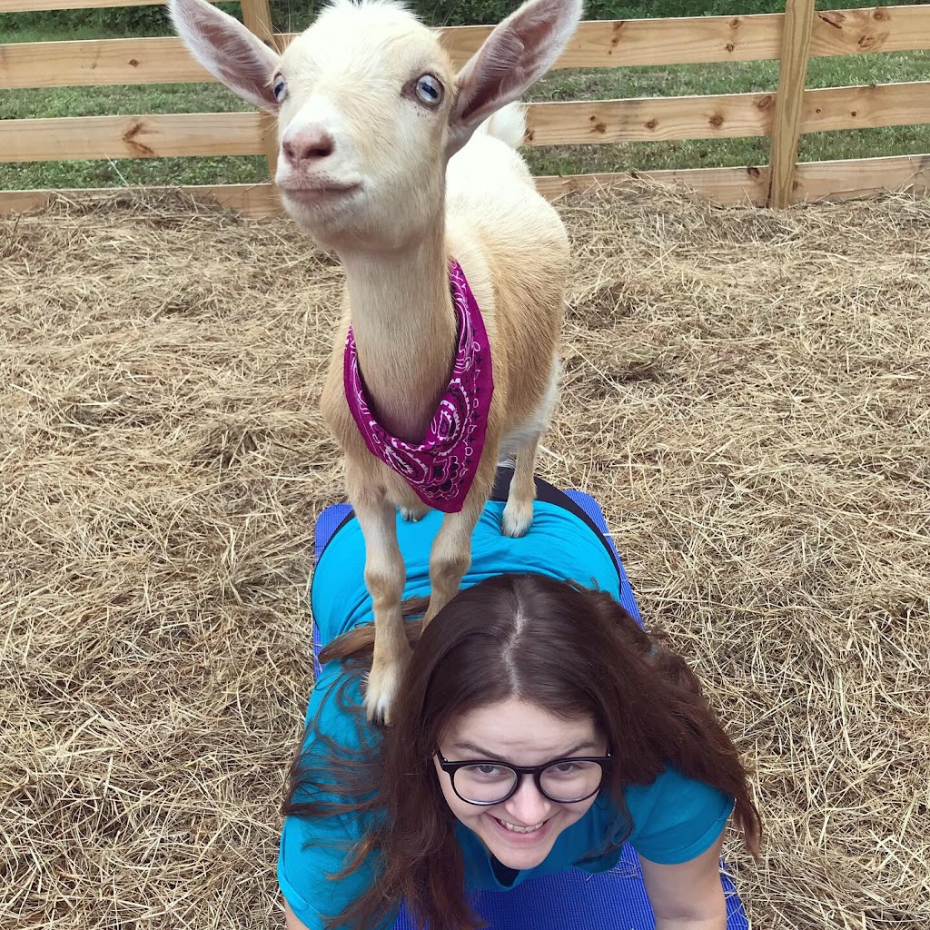  Goat Yoga Bham