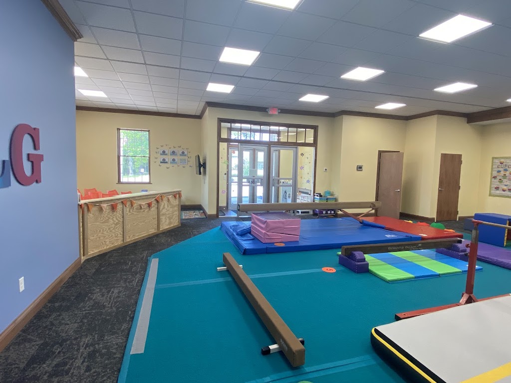  Learning Ladder Gymnastics